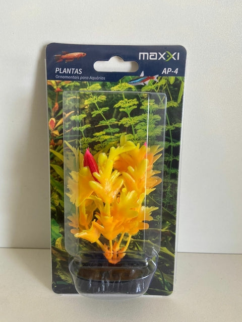 Planta Maxxi AP- 04 10cm